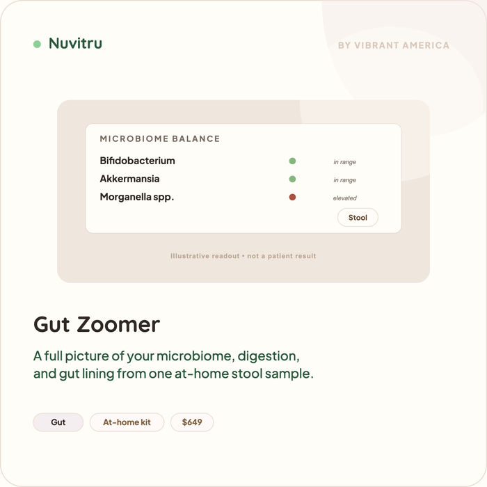 Gut Zoomer