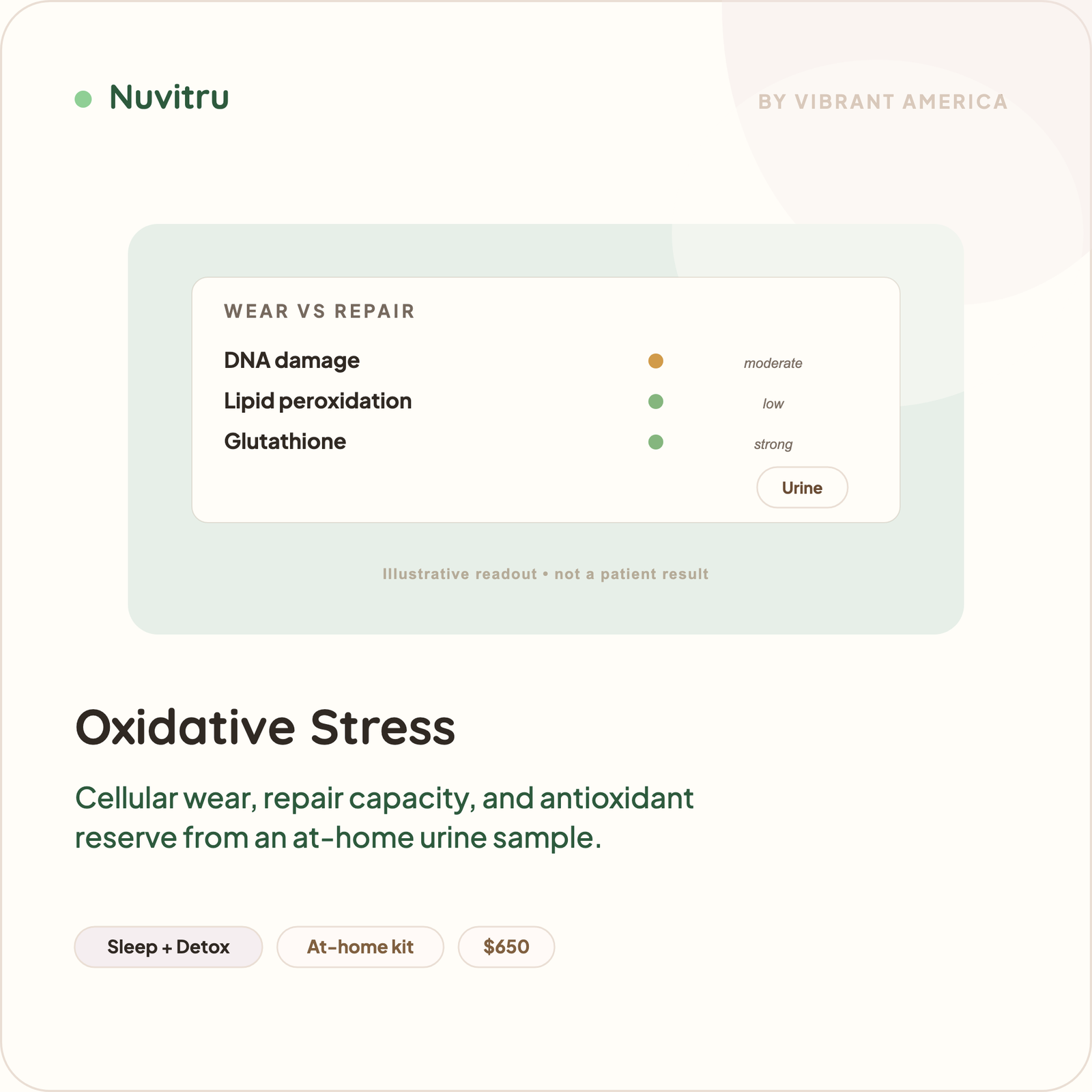 Oxidative Stress