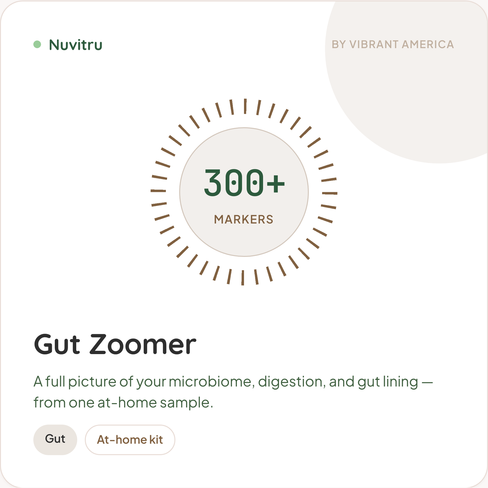 Gut Zoomer