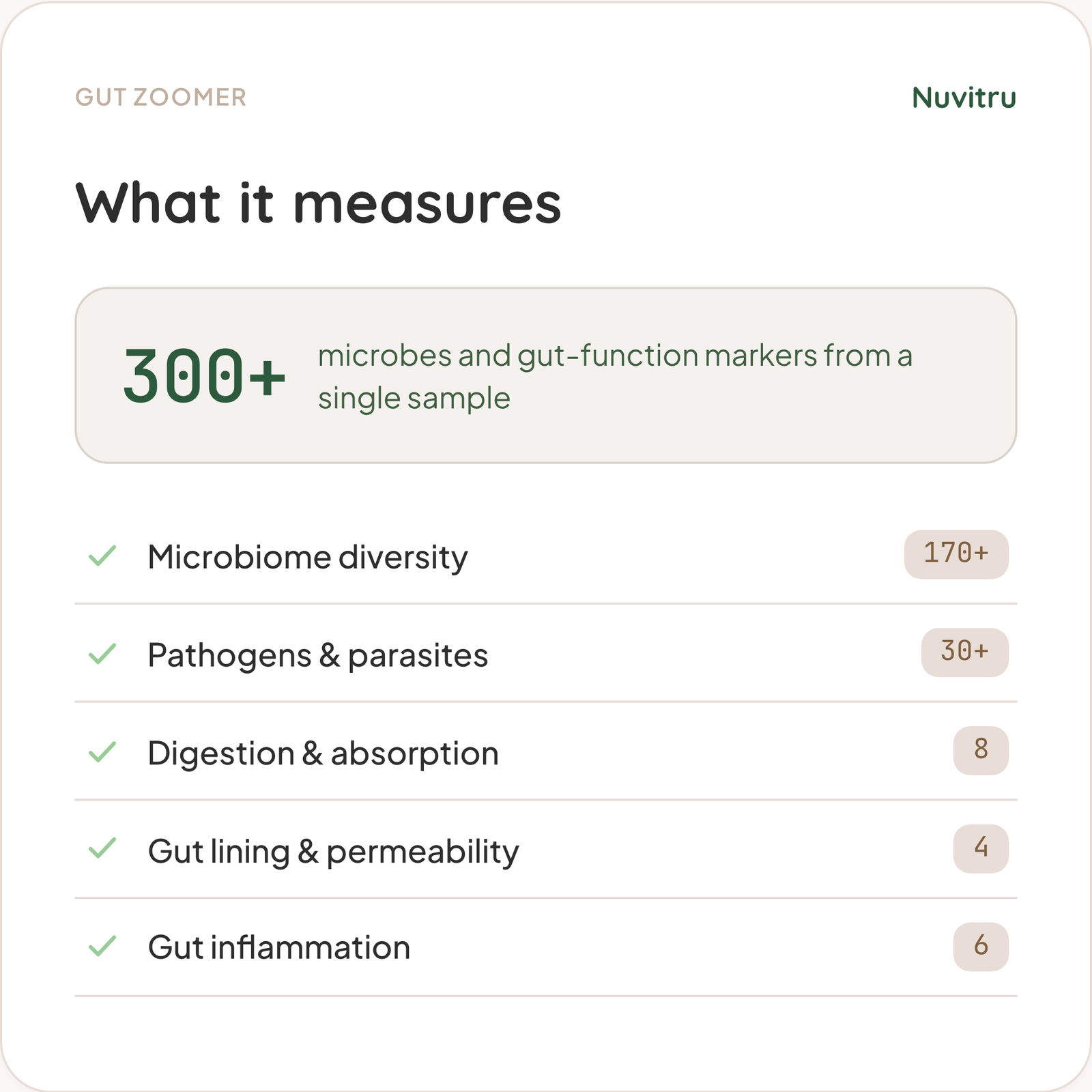 Gut Zoomer